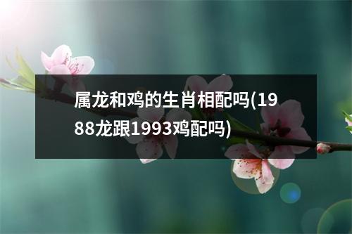 属龙和鸡的生肖相配吗(1988龙跟1993鸡配吗)