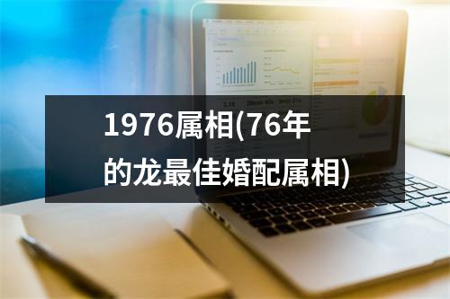 1976属相(76年的龙佳婚配属相)