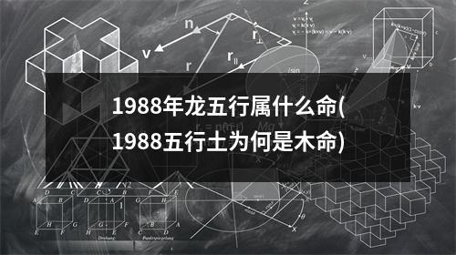 1988年龙五行属什么命(1988五行土为何是木命)