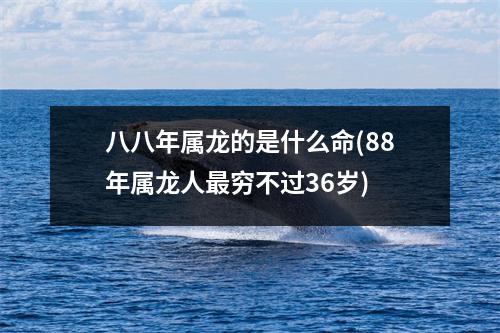 八八年属龙的是什么命(88年属龙人穷不过36岁)