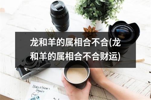 龙和羊的属相合不合(龙和羊的属相合不合财运)