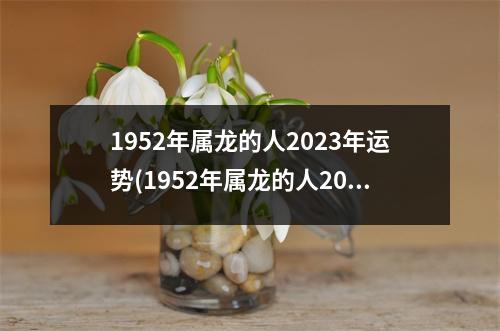 1952年属龙的人2023年运势(1952年属龙的人2023年健康)