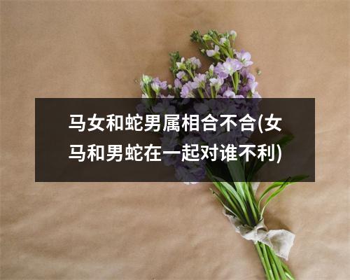 马女和蛇男属相合不合(女马和男蛇在一起对谁不利)