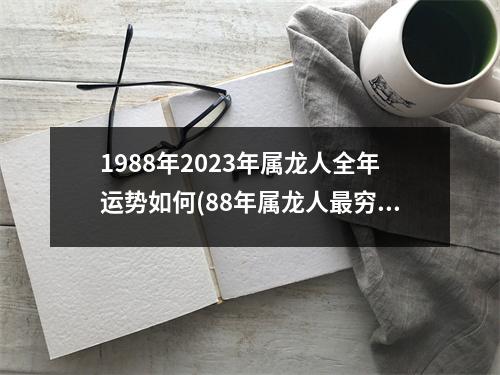 1988年2023年属龙人全年运势如何(88年属龙人穷不过36岁)