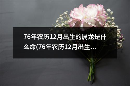 76年农历12月出生的属龙是什么命(76年农历12月出生的属龙是什么命格)