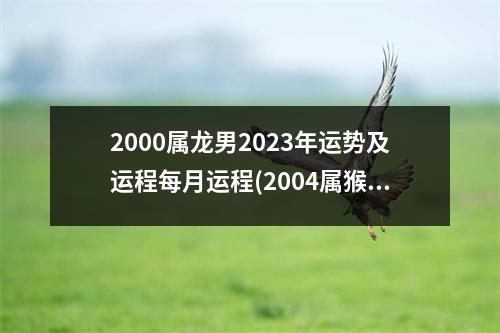 2000属龙男2023年运势及运程每月运程(2004属猴女孩2023年学业怎样)