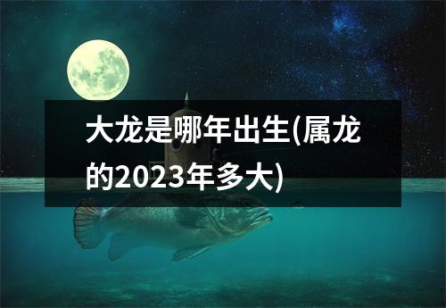 大龙是哪年出生(属龙的2023年多大)