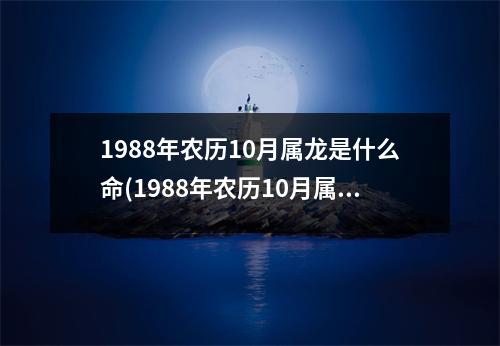 1988年农历10月属龙是什么命(1988年农历10月属龙是什么命运如何)