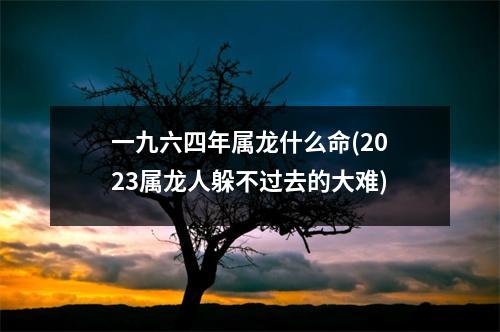 一九六四年属龙什么命(2023属龙人躲不过去的大难)