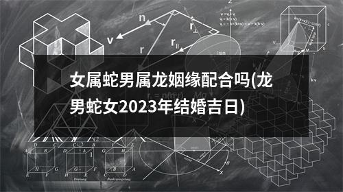 女属蛇男属龙姻缘配合吗(龙男蛇女2023年结婚吉日)