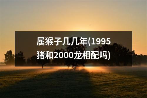 属猴子几几年(1995猪和2000龙相配吗)