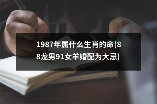 1987年属什么生肖的命(88龙男91女羊婚配为大忌)