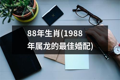 88年生肖(1988年属龙的佳婚配)