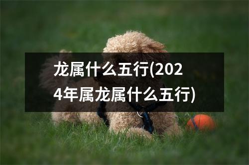 龙属什么五行(2024年属龙属什么五行)