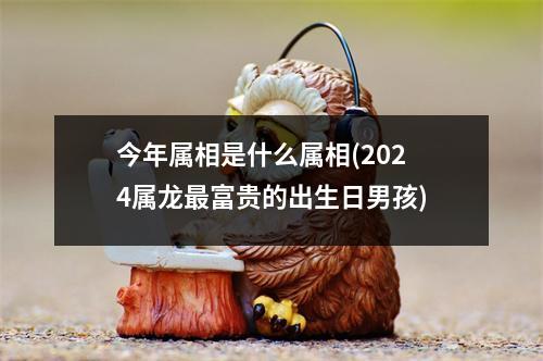 今年属相是什么属相(2024属龙富贵的出生日男孩)