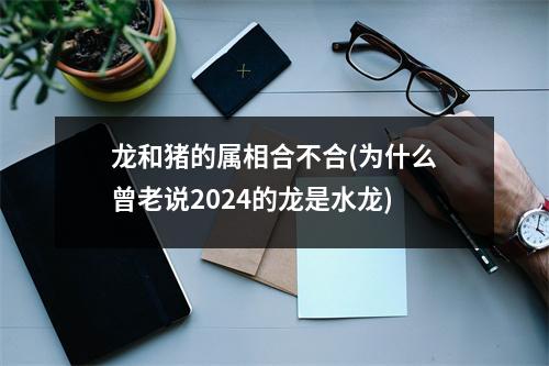 龙和猪的属相合不合(为什么曾老说2024的龙是水龙)