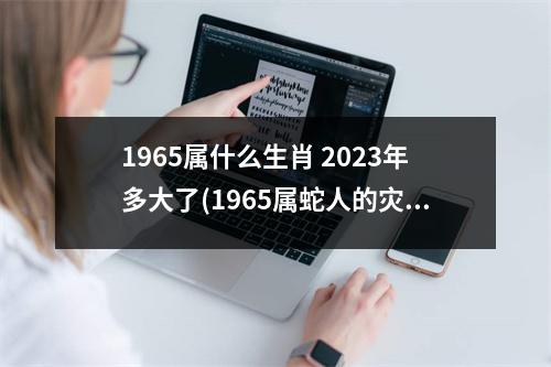 1965属什么生肖 2023年多大了(1965属蛇人的灾难年龄)