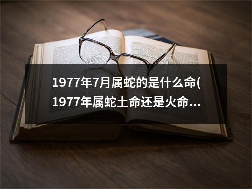 1977年7月属蛇的是什么命(1977年属蛇土命还是火命)