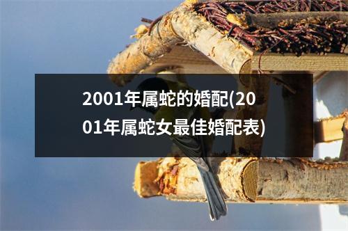 2001年属蛇的婚配(2001年属蛇女佳婚配表)