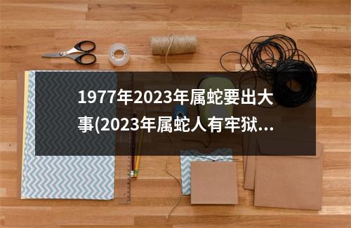 1977年2023年属蛇要出大事(2023年属蛇人有牢狱之灾吗)