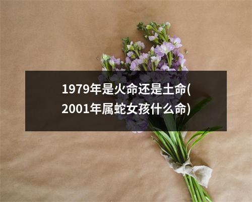 1979年是火命还是土命(2001年属蛇女孩什么命)