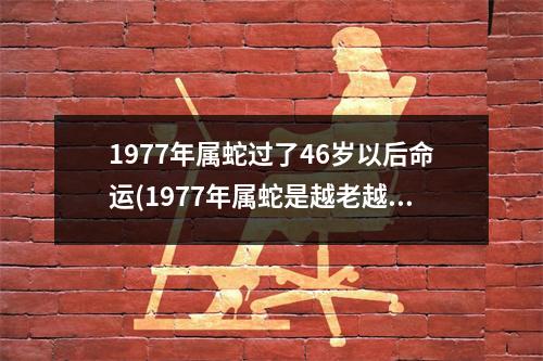 1977年属蛇过了46岁以后命运(1977年属蛇是越老越穷吗)