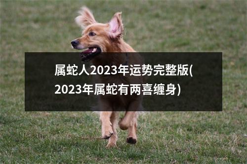 属蛇人2023年运势完整版(2023年属蛇有两喜缠身)