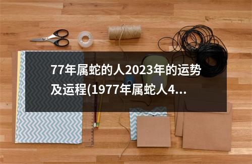 77年属蛇的人2023年的运势及运程(1977年属蛇人45岁到49岁运程)