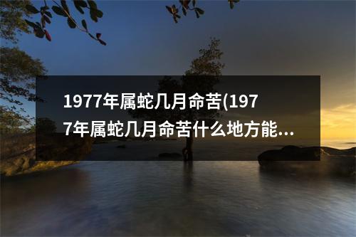 1977年属蛇几月命苦(1977年属蛇几月命苦什么地方能查所在位置对方)