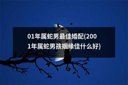 01年属蛇男佳婚配(2001年属蛇男孩姻缘佳什么好)