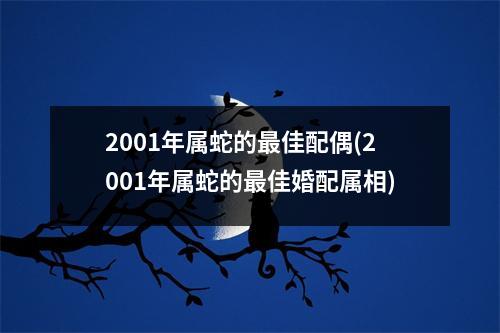 2001年属蛇的佳配偶(2001年属蛇的佳婚配属相)