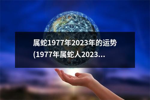 属蛇1977年2023年的运势(1977年属蛇人2023年每月运势如何)