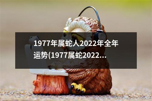 1977年属蛇人2022年全年运势(1977属蛇2022运势及运程详解)