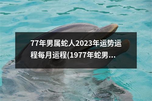 77年男属蛇人2023年运势运程每月运程(1977年蛇男2023年运程)