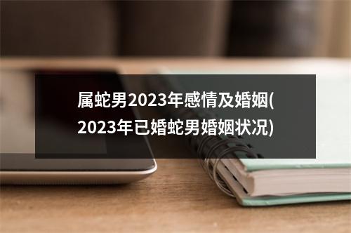 属蛇男2023年感情及婚姻(2023年已婚蛇男婚姻状况)