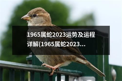 1965属蛇2023运势及运程详解(1965属蛇2023运势及运程详解六月10号)