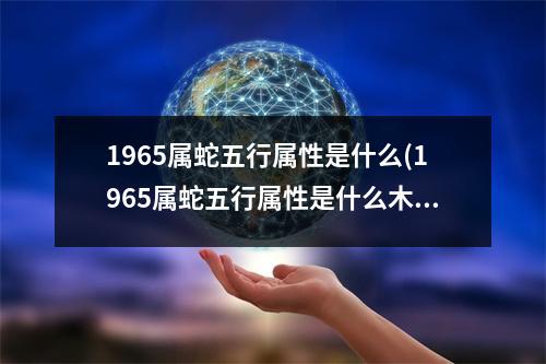 1965属蛇五行属性是什么(1965属蛇五行属性是什么木命)