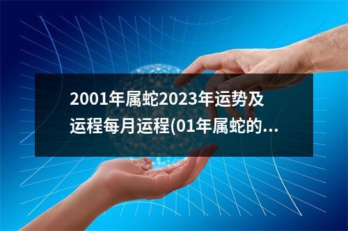 2001年属蛇2023年运势及运程每月运程(01年属蛇的2023年运势和财运怎么样)