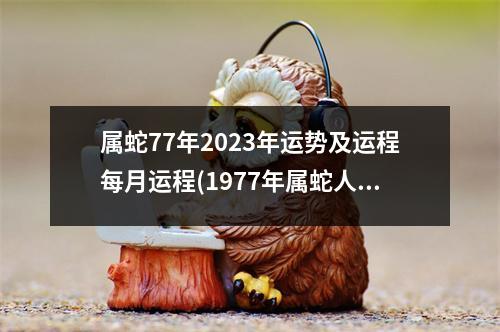 属蛇77年2023年运势及运程每月运程(1977年属蛇人2023年运势运程每月运程)