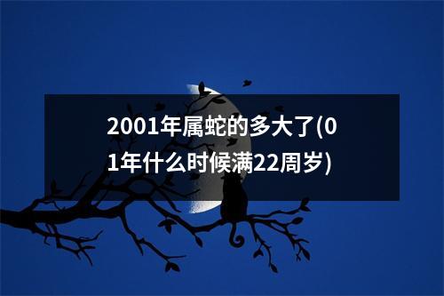 2001年属蛇的多大了(01年什么时候满22周岁)