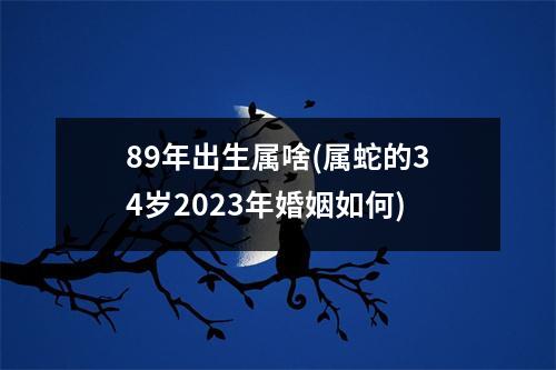 89年出生属啥(属蛇的34岁2023年婚姻如何)