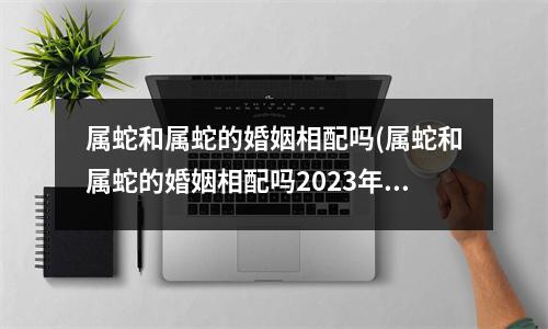 属蛇和属蛇的婚姻相配吗(属蛇和属蛇的婚姻相配吗2023年)