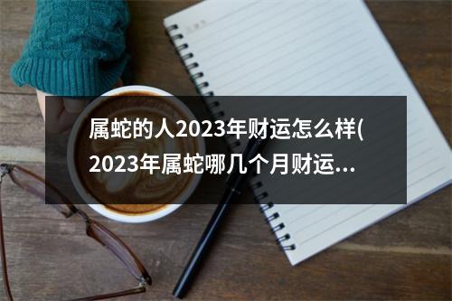 属蛇的人2023年财运怎么样(2023年属蛇哪几个月财运好)