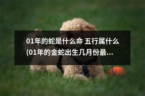 01年的蛇是什么命 五行属什么(01年的金蛇出生几月份好)