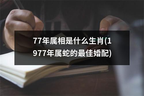 77年属相是什么生肖(1977年属蛇的佳婚配)