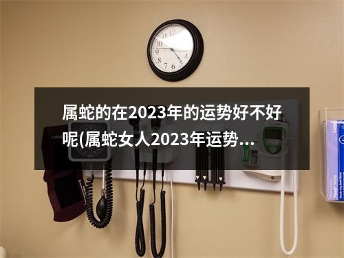 属蛇的在2023年的运势好不好呢(属蛇女人2023年运势完整版)