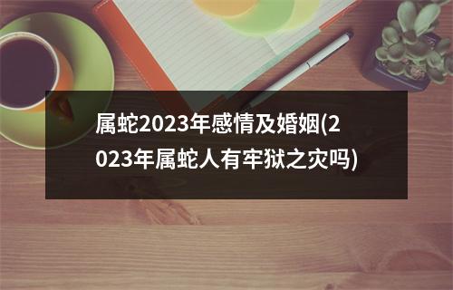 属蛇2023年感情及婚姻(2023年属蛇人有牢狱之灾吗)