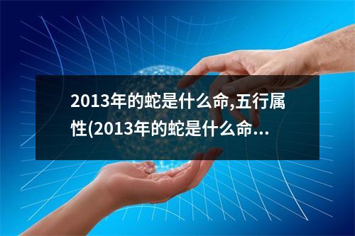 2013年的蛇是什么命,五行属性(2013年的蛇是什么命,五行属性是什么)