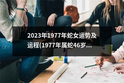 2023年1977年蛇女运势及运程(1977年属蛇46岁后会大富大贵)