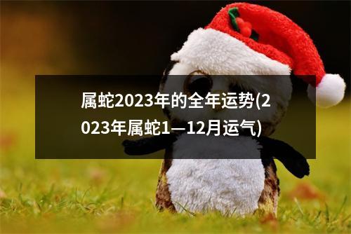 属蛇2023年的全年运势(2023年属蛇1—12月运气)